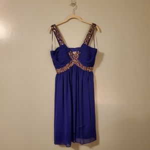 Caché Blue & Gold Dress